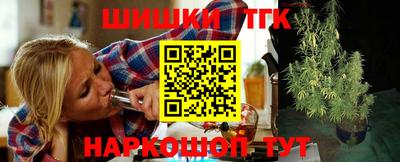 гашик Ливны