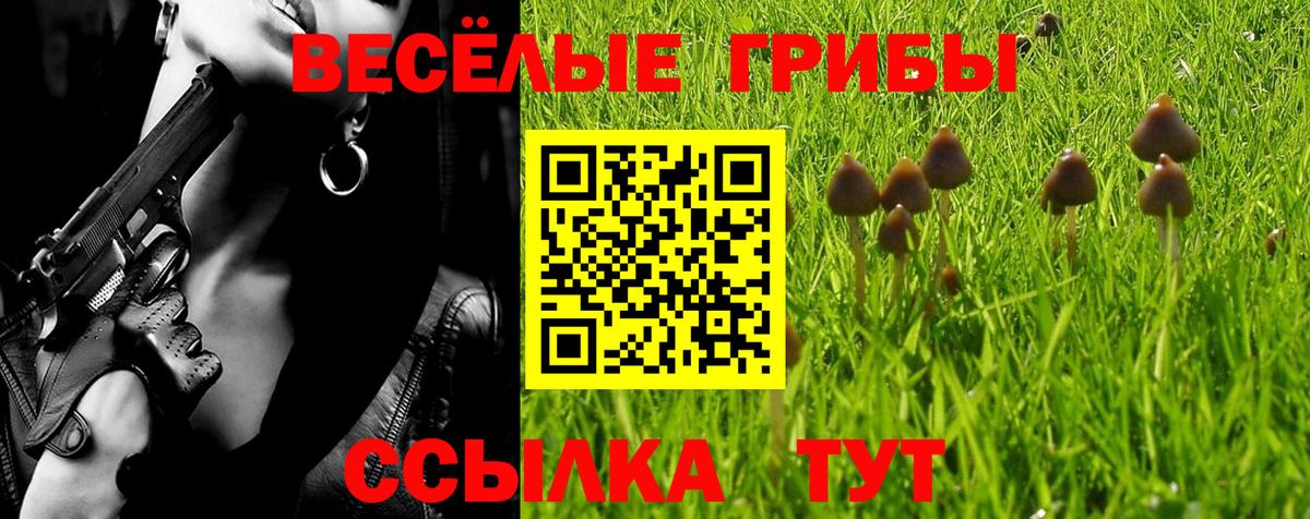 Псилоцибиновые грибы мухоморы  Вход с VPN  Десногорск 